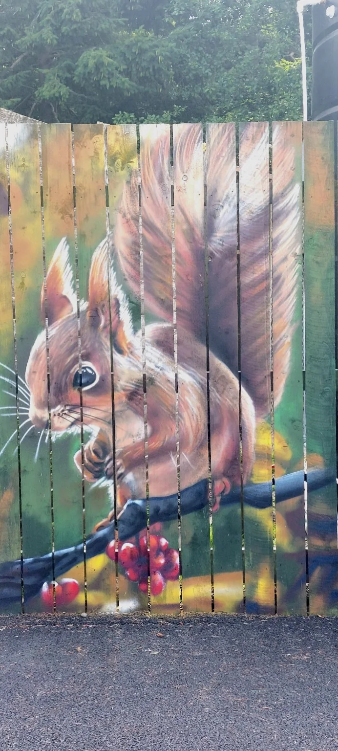 Red Squirrel mural by David Crossley