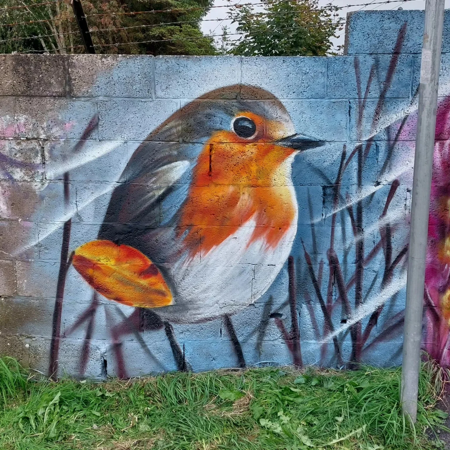 Robin mural by David Crossley