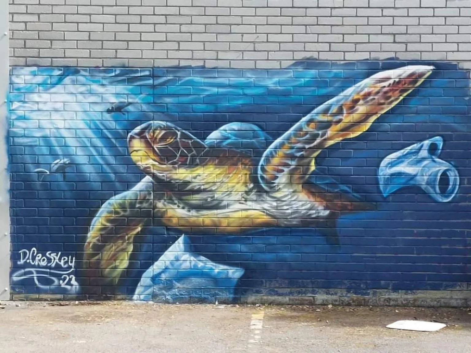 Sea Turtle mural by David Crossley